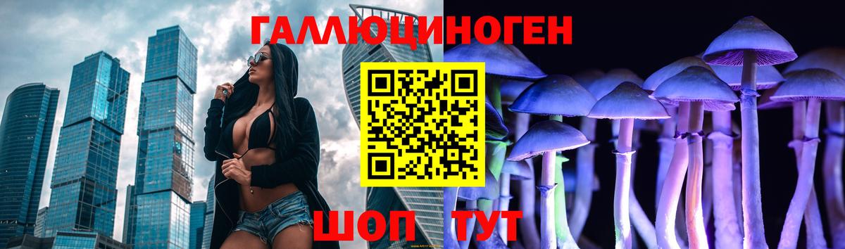 Галлюциногенные грибы GOLDEN TEACHER  Псилоцибиновые грибы мицелий  Вход с VPN  где купить наркоту  Железногорск 